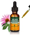 Herb Pharm Certified Organic Golden Echinacea Folyékony kivonat az immunrendszer támogatására - 1 Ounce (DGOLDEN01)