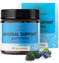 HERBAMAMA Adrenal Support Gumies - Pure Adrenal Complex Supplement for Women with Ashwagandha Root, Rhodiola Rosea & Magnézium - Vegan, Non-GMO - 60 Pectin- Based Blueberry- Flavored Chews