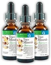 Morter Trace Ásványok kolloid szuszpenzióban (3 csomag) Morter HealthSystem Best Process Alkaline - Nutritent Dense Trace Elements, Fulvic Ásványok & Amino Acids