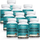 2400 MG Liposzómás Glutathion Softgels, Max Abszorpció, Aktív L- Glothion redukált (GSH), Hyaluronic Acid, Resveratrol, Master Antioxidants for Detox, Brain, Immune System, 600 Softgels