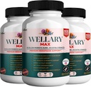 Wellary Max Menopauza támogatás kiegészítés, 40 milliárd CFU probiotikus keverék, 90 kapszula (3)