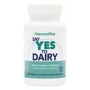 Natures Plus Say Yes to Dairy - 50 Kautabletten - Natürliche Lactase Enzymergänzung, maximale Stärke Verdauungshilfe, Lactose Intolerance Relief - Glutenfrei - 50 Portionen