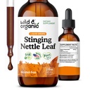 Wild & Organic Stinging Nettle Leaf Extract Drops - Vizeleti tract Support - Liquid Stinging Nettle Supplement - Urtica Dioica Tincture - 2- hónapos ellátás - Vegan, Sugar & Alcohol- Free - 2 fl oz