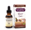 Amber NaturalZ Hawthorn & Dandelion gyógynövény kiegészítés kutyák, macskák, madarak, nyulak, és Guinea Malacok a 124; Támogatja a szív egészsége, körforgás, és folyadék Maps 124; Természetes szív- és érrendszeri ellátás