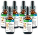 Morter Trace Ásványok kolloid szuszpenzióban (6 csomag) Morter HealthSystem Best Process Alkaline - Nutritent Dense Trace Elements, Fulvic Minerals & Amino Acids