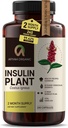 Premium Quality Costus Igneus (inzulin növény) kapszula - Easy to Swallow 240 Veggie kapszula (2 hónapos ellátás) - Készült az USA-ban - beleértve a teljes egészséget támogató programot