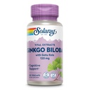 SOLARAY Ginkgo Biloba Extrakt mit Gotu Kola - Ginko Biloba Kapseln für Brain Health Support - Vegan, Lab Verified, 60-Day Garantie - 60 Servietten, 60 VegCaps (60 VegCaps)