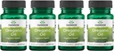 Swanson Oregano Oil 10: 1 kivonat - Natural Supplement Promotion Digestive Health & Respiratory Support - Supports Gastrointestinal System & Urinary Tract Health - (120 Softgels, 150mg Each) (4 csomag)