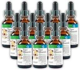 Morter Trace Ásványok kolloid szuszpenzióban (12 Pack) Morter HealthSystem Best Process Alkaline - Nutritent Dense Trace Elements, Fulvic Ásványok & Amino Acids