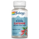 SOLARAY Extra Hot Cool Cayenne 100,000 HU - Tradicionális népi rehabilitációs és emésztési segély - Bio- Cool Process - Labor ellenőrizve, GMP Facility, 60- Day Garancial - 45 Servings, 90 VegCaps