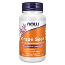 Most kiegészítők, Szőlő Seed 100 mg - Szabványos kivonat, erősen koncentrált kivonat, legalább 90% polifenolok, C-vitamin, 100 Veg kapszula