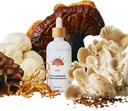 Rainbo - 11: 11 Multi Gomba Tinktúra - 11- in1 Dual Extract Gomba Keverék - Átfogó Immuntámogatás, Agytámasz, Folyékony Oroszlán sörénye & Törökország Tail, Vegan, Nem GMO, 3.4 fl oz
