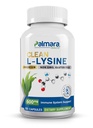 Palmara Health Clean L- Lysine 600mg, 120 Capprovine 124; Vegan, Non-GMO, & Gluten Free