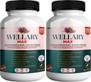 Wellary Max Menopauza támogatás kiegészítés, 40 milliárd CFU probiotikus keverék, 90 kapszula (2)
