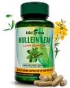 KIKI Green Mullein Levélkivonat kapszula - Vegán gyógynövény kiegészítés - a tüdő tisztítása, támogatása, jobb légzés, immunfunkció - 1000mg 45 Servings - 90 gróf