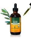 Herb Pharm Certified Organic Olive Leaf Liquid Extract for Immunrendszer Support, 4 Fl Oz