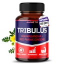 Tribulus Terrestris 98% Saponins - Enhanced 12- in1 Formula with Yohimbine, Red Panax Ginseng, Ashwagandha for Boosting Energy, Stamina & Endurance * - Made in The USA