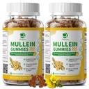 (2 Pack) 9 in 1 Mullein Gumies for Lung Cleanse & Detox, Extra Strength Mullein Leaf Extra / Quercetin, Bromelain, Elderberry & Marshmallow for respiratory, Immune & Digestive, Vegan, 120 Count
