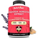 Nutritional Premium Fadogia Agrestis és Tongkat Ali Supplement Turkesterone - 1100 mg - 120 Caps - Synergistic Blend for Performance, Strength, & Recovery for Men & Women of All Ages