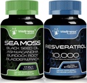 WELLNESS LABSRX Resveratrol kapszula Sea Moss kapszulával