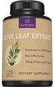 Premium Olive Leaf Extract Capsules - Szabványosított 20% oleuropein - Super Strength Olive Leaf Exact Supact Supports Immunrendszer & Cardiovascularis Health - 750mg Kapszulánként - 120 kapszula