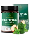 HERBAMAMA Klorofill Detox Gumies - 50mg nátrium-réz-klorofillin belső dezodoráns a testszag támogatására - Vegán, nem-GMO antioxidáns kiegészítés - 90 Pectin- alapú apple- ízesített sajtok