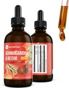 360 Táplálkozás Ashwagandha & Reishi gyökérpótló cseppek a stressz enyhítésére, Stamina & Longevity, és energia támogatás - Vegan Non-GMO Adaptogen - 4 fl oz, 60 szervadékok