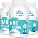 Liposomal NAD+ Ergänzung 1000 mg | Höchste NAD Pontecy | Max Absorption | Reine NAD Ergänzung | Energie und DNA Reparatur, Alterung Verteidigung, Gehirn Funktion | 180 Softgels