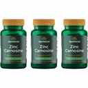 Swanson Zinc Carnosine (PepZin GI) - Natürliche Ergänzung zur Förderung der Magen- und Verdauungsunterstützung - Unterstützt mikrobielle Balance im Stomach - (60 Kapseln) (3 Packung)