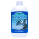 Eidon Electrolytes - Liquid Electrolyte Drops, Ionic Mineral Supplement to add to water, Replosh & Balance The Electrolyte Equility, Hydration Support, Unswearned Sugar Free - 18 oz