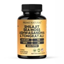 Shilajit 10,000mg, Irish Sea Moss 2000mg, Ashwagandha 3000mg, Tongkat Ali 30,000mg, Boron, Magnézium, PQQ & More 124; 60 Capprovement - 30 Days Supply 124; Fulvic Acid Veg Capprovine 124; Vegan) 124; Gluten Free Ach124; Non-GMO