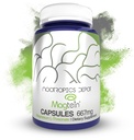 Nootropics Depot Magtein Magnesium L-Threonate Kapseln | 90 Graf | Mineralische Ergänzung | Natürliche | Unterstützt Mitochondriale Funktion | Erhöht Energie und kognitive Funktion