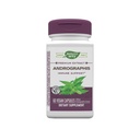 Nature 's Way Premium Extract Andrographis, Immune Support *, 300 mg Andrographis kivonat adagonként, 60 kapszula