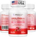 Urolitin 1400 MG kiegészítés - nem-GMO, gluténmentes, anti- öregedés, celluláris megújulás, izomerő, tartósság és hosszú távú támogatás, liposzómás urolitin A, 60 gróf