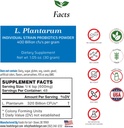 Foods for Gut Lactobacillus Plantarum Probiotic Powder 400 Billion cfu 's draft 124; Made in USA