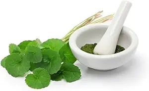(2-es csomag) Organic Centella Asiatica Powder (50g)