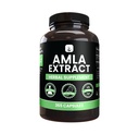 PURE ORIGENS INGREDIENS Amla kivonat (365 kapszula) No Magnézium Or Rice Fillers, Mindig tiszta, Lab ellenőrzött