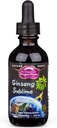 Dragon Herbs Ginseng Sublime Drops, 124; All Natural Extract Supplement to Support Energy, Stress, Focus, Skin, Endurance, Lung, Immune Health, 124; American, Red, and White Ginseng
