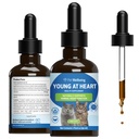 Kisállat Wellbeing Young at Heart for Cats - Vet- Formuled - Heart Health, Circulatory & Cardiovascularis System, Hawthorn, Motherwort, Schisandra - Herbal Supplement 2 oz (59 ml)