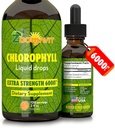Klorofill folyadék cseppentő 100% Organic Vegan - Energia és immunrendszer booster kiegészítés Menta Flavor vízhez - Természetes belső dezodor - Extra Strength 6000mg 120 Servings