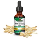 Természet Válasz Fehér Ginseng Root Alkoholmentes 1 Folyékony Ounce 124; Immun Support