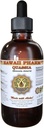 Quassia (Quassia Amara) Folyékony kivonat, tinktúra, gyógynövény kiegészítés, Hawaii Pharm, Készült USA, 4 fl.oz