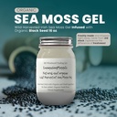Ashwagandha Mango Sea Moss Gel Organic Fresh Fresh Fresh Inused Wild Haruved Irish Sea Moss Gel 124; Immun- és Emésztési Támogatás 124; Ásványi antioxidáns-ellátás 124; (16 oz. Ashwagandha Mango)