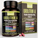 Urolithin Eine Ergänzung für Urban Working Women: Anti-Aging Capsules mit Trans-Resveratrol und CoQ10 - USA Lab Verifizierte Unterstützung Gesunde Alterung und Cellular Renewal(9in1)