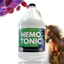 Hemotóniás - Iron Rich Multi- Vitamin Energy Tonic Power Packed Blood Builder & Energy Revitalizer for Horses by Saratoga Veterinary Product (1 Gallon)