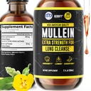 HERBIFY Mullein kivonat 2 oz Tinktúra légzőszervi, Mullein Levél- és Virágkeverék (Verbascum Densiflorum)