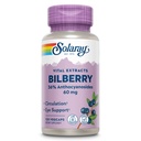 SOLARAY Bilberry Berry kivonat 60 mg / kapszula, erős antioxidáns, garantált potencia egészséges látás és keringési támogatás 120 VegCaps