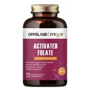 Aktivált Folate- L 5- MTF- DFE kiegészítés - Metilfolát B9 MTF B12-vitaminnal, CoQ10, és vörös málna - Metilezett L- Metilfolát férfiaknak és nőknek - 500 µg - 90 Veggie kapszula