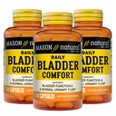 Mason Natural Bladder Comfort, 30, Day Supply, kalcium, tök mag, és Soy Germ, hogy támogassa a normál hólyag funkció, 60 kapszula (csomag 3)