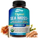 NutriFlair Organic Sea Moss 1600mg, 120 kapszula Plus Bladderwrack & Burdock - Prebiotikus Super Food - Immunrendszer és emésztési egészség - Pajzsmirigy, Egészséges bőr, Keto Detox, Gut